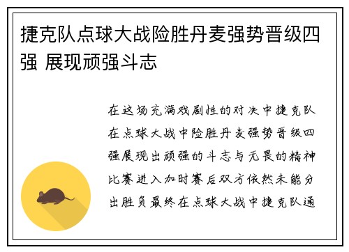 捷克队点球大战险胜丹麦强势晋级四强 展现顽强斗志